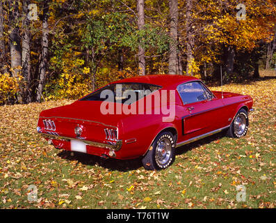 1968 Ford Mustang GT auf Gras. Stockfoto