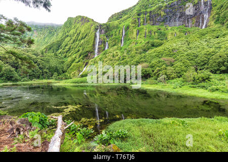 Ein großer Teich unterhalb der Poco Ribeira do Ferreiro Wasserfälle der Insel Flores der Azoren. Stockfoto