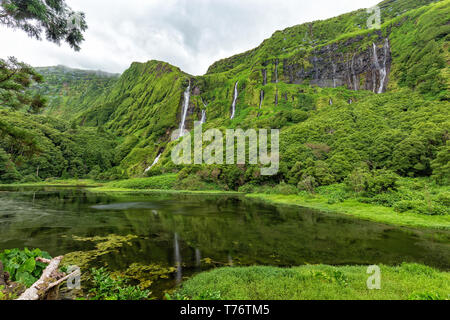Unglaublich grünen Landschaft am Poco Ribeira do Ferreiro Wasserfälle der Insel Flores der Azoren. Stockfoto