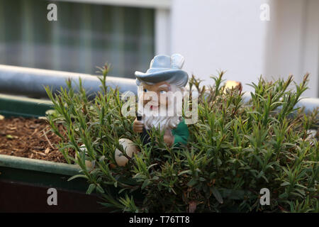 Garten Zwerg mit in einem Garten. Stockfoto
