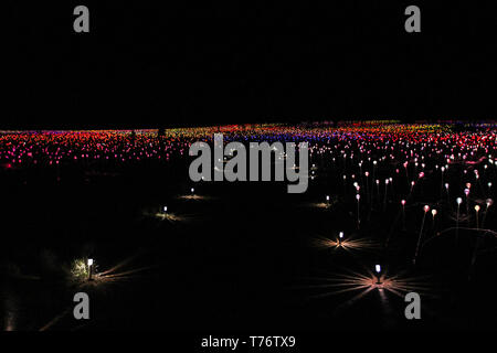 Licht Uluru durch Künstler Bruce Munro, Ayers Rock in Australien Stockfoto