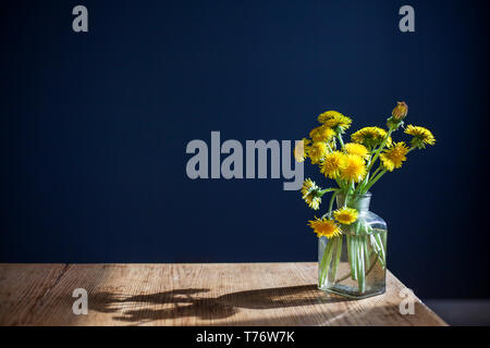 Ein Strauß gelber Löwenzahn in einem Glas transparent Glas auf einem Holztisch vor dem Hintergrund eines dunklen blauen Wand. Stockfoto