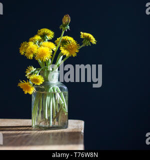 Ein Strauß gelber Löwenzahn in einem Glas transparent Glas auf einem Holztisch vor dem Hintergrund eines dunklen blauen Wand. Stockfoto