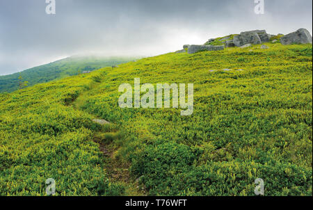 Weg durch Wiese Wiese, riesige Felsbrocken. Dramatische Landschaft in den Bergen im Sommer stürmischer Morgen Stockfoto