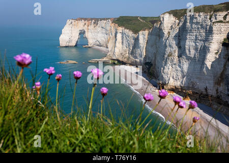 Frankreich, Normandie: Blumen und rock Bogen der Strand Etretat Stockfoto