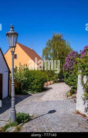 Malerische Stadt Mikulov im Frühjahr sonniger Tag mit blühenden Sträuchern und Bäumen. Mikulov, ausgebreitet auf den Hügeln der Pollauer und umgeben von vineyar Stockfoto