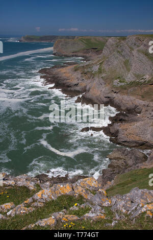 Roten Kammer Klippen, Thurba, Gower Peninsula, South Wales Stockfoto