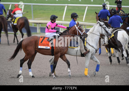 HALLANDALE, Florida - MÄRZ 30: Maximale Sicherheit #7, geritten von Luis Saez, gewinnt das Florida Derby an Gulfstream Park am März 30, 2019 im Hallandale, Florida Personen: Maximale Sicherheit, Luis Saez Stockfoto