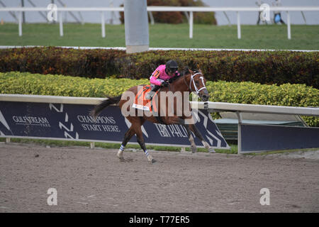 HALLANDALE, Florida - MÄRZ 30: Maximale Sicherheit #7, geritten von Luis Saez, gewinnt das Florida Derby an Gulfstream Park am März 30, 2019 im Hallandale, Florida Personen: Maximale Sicherheit, Luis Saez Stockfoto