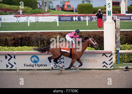 HALLANDALE, Florida - MÄRZ 30: Maximale Sicherheit #7, geritten von Luis Saez, gewinnt das Florida Derby an Gulfstream Park am März 30, 2019 im Hallandale, Florida Personen: Maximale Sicherheit, Luis Saez Stockfoto