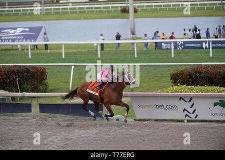 HALLANDALE, Florida - MÄRZ 30: Maximale Sicherheit #7, geritten von Luis Saez, gewinnt das Florida Derby an Gulfstream Park am März 30, 2019 im Hallandale, Florida Personen: Maximale Sicherheit, Luis Saez Stockfoto