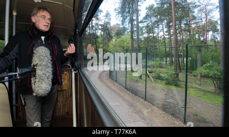 Hodenhagen, Deutschland. 05 Mai, 2019. Frank Ahrens, zoologische Direktor an der Serengeti-Park Hodenhagen, Punkte aus ein Bus in einem separaten Gehäuse, in dem zwei aus der Packung getrennt Löwen gehalten werden. In der Einhausung, die beiden Löwen ein Tierpfleger angegriffen und schwer verletzt. Der Halter und die Löwen waren in der Anlage gleichzeitig, das war in der Regel nicht der Fall. Credit: Julian Stratenschulte/dpa/Alamy leben Nachrichten Stockfoto