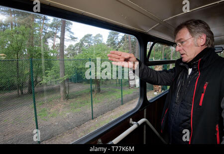 Hodenhagen, Deutschland. 05 Mai, 2019. Frank Ahrens, zoologische Direktor an der Serengeti-Park Hodenhagen, Punkte aus ein Bus in einem separaten Gehäuse, in dem zwei aus der Packung getrennt Löwen gehalten werden. In der Einhausung, die beiden Löwen ein Tierpfleger angegriffen und schwer verletzt. Der Halter und die Löwen waren in der Anlage gleichzeitig, das war in der Regel nicht der Fall. Credit: Julian Stratenschulte/dpa/Alamy leben Nachrichten Stockfoto