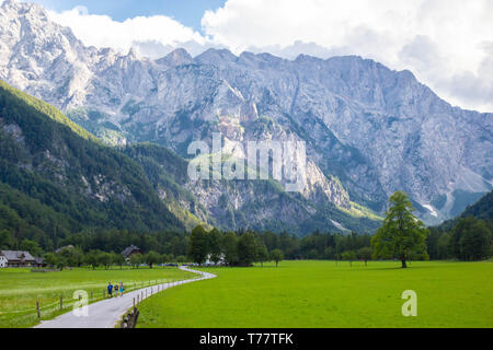 Sommer Blick auf die Logar-tal in Kamnik Berge, Slowenien Stockfoto