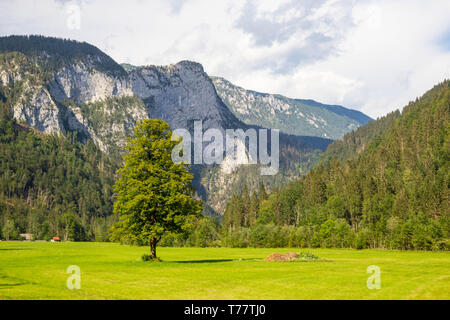 Sommer Blick auf die Logar-tal in Kamnik Berge, Slowenien Stockfoto