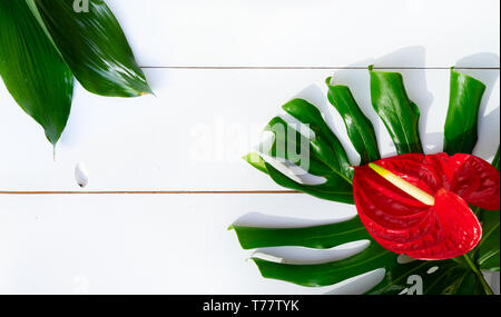 Sommer flach Landschaft auf White Boards Stockfoto