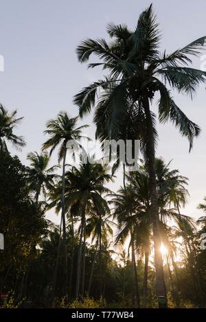 Fotografie Reise in Indien HD-Bild Stockfoto