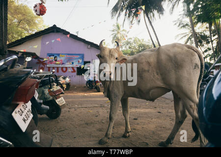 Fotografie Reise in Indien HD-Bild Stockfoto