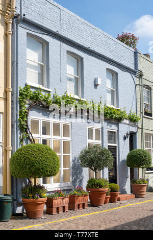 Bunte Häuser und kleine Bäume und Sträucher in Containern in Princes Gate Mews, Kensington, London, England Stockfoto