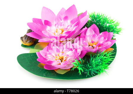 Pink Lotus Blumen und Frosch auf weißem Hintergrund. Stockfoto