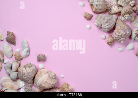 Sommer Zusammensetzung. Flach, Blick von oben auf die verschiedenen Muscheln auf rosa Hintergrund. Kopieren Sie Platz im minimalistischen Stil, Vorlage für Text. Ferienhäuser Konzept Stockfoto
