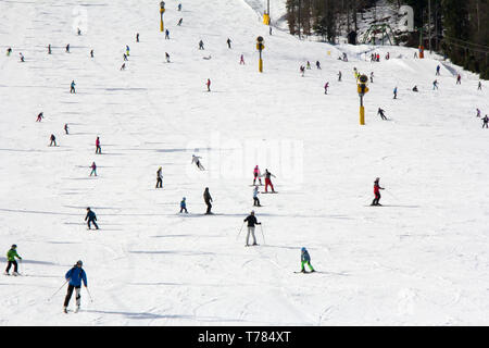 Viele Skifahrer und Snowboarder auf der Piste im Skigebiet Stockfoto