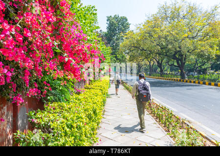 Lodhi Garten, Neu Delhi, Indien, 30 Mär 2019 - Beautuful Lodhi Garten mit Blumen, Gewächshaus, Gräbern und anderen Sehenswürdigkeiten, New Delhi, Indien Stockfoto