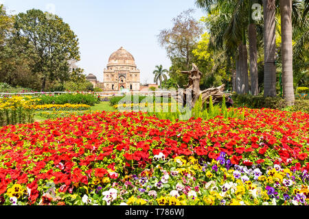 Beautuful Lodhi Garten mit Blumen, Gewächshaus, Gräbern und anderen Sehenswürdigkeiten, New Delhi, Indien Stockfoto