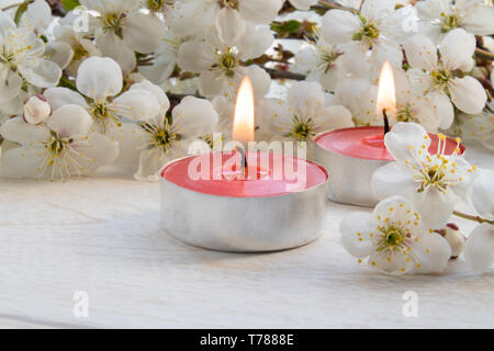 Eine Kerze steht auf einem hölzernen weissen Tisch in der Nähe der Filialen von weißen Blumen der Kirsche. close-up. Stockfoto