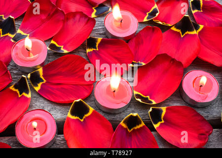 Rote, brennende Kerzen in der Nähe der red tulip Blütenblätter. Gefallenen tulip Blütenblätter auf dem Tisch. Stockfoto