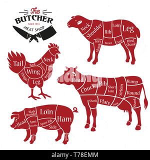 Fleisch schneidet. Diagramme für die Metzgerei. Vector Illustration Stock Vektor