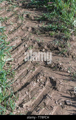 Reifenspuren in schlammigen Feld Land. Metapher Stick im Schlamm, matschigen Textur, schlammige Oberfläche, Schlamm, Winter Schlamm. Stockfoto