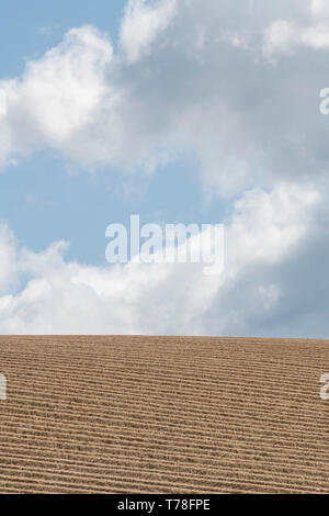 Grat und Furchen Muster in gepflügten Feld der Bodenbearbeitung - für Kartoffelernte. Bodenstruktur bebaut, Boden gepflügt, Kartoffelanbau, Agrarwissenschaft. Stockfoto