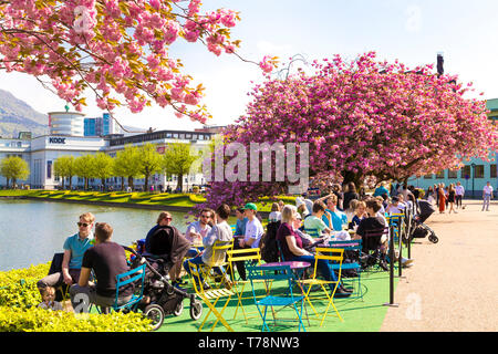 Die Menschen in der Sonne an einem Al Fresco Café von Lille Lungegårdsvannet See am Frühling Zeit in Bergen, Norwegen Stockfoto