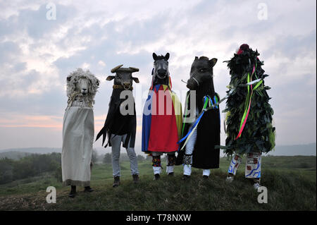 Mai Tag Sonnenaufgang mit einzigartigen Bräuche mit heidnischen Wurzeln zurück in die dunklen Zeiten gehen, gekennzeichnet. Morris Dancers auf Rundumleuchte, Painswick Gloucestershire. Stockfoto