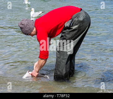 Männliche Meer angler seinen Fang von Fisch Reinigung im Meer Stockfoto