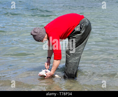 Männliche Meer angler seinen Fang von Fisch Reinigung im Meer Stockfoto