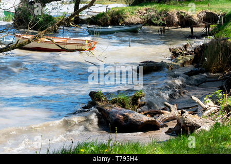 Wild Coast am Plattensee, Ungarn Stockfoto