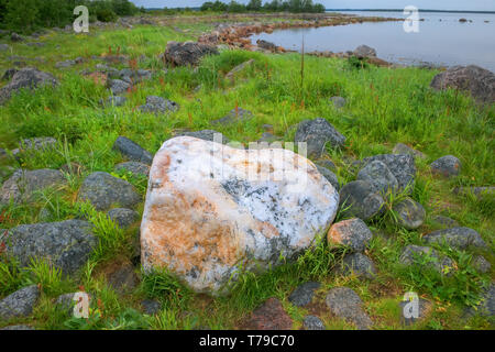 Große Quarz Boulder in der Tundra an der Küste des Weißen Meeres Stockfoto