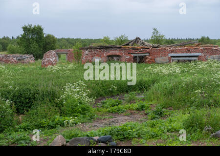 Ruinen von Gebäuden an der Sergievsky Kloster auf der Insel Muksalm, solowki Inseln, Archangelsker Gebiet, Russland Stockfoto