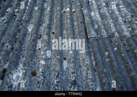 Ein stark gealtert und verwitterten Asbestzement gewölbte Dachmaterialien Stockfoto