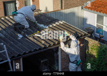 Professionelle Entfernung von Asbest. Männer in Schutzanzügen aus Asbestzement gewölbte Dachmaterialien Stockfoto