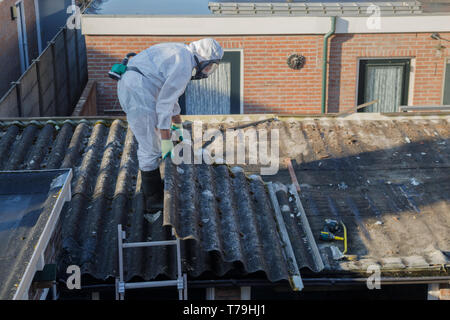 Professionelle Entfernung von Asbest. Männer in Schutzanzügen aus Asbestzement gewölbte Dachmaterialien Stockfoto