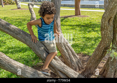 An einem schönen sonnigen Tag im Park mit kleinen Bäumen gefüllt, eine abenteuerliche kleiner Junge macht seinen Weg auf den Baum. Stockfoto