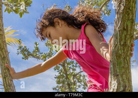Ein junges Mädchen schaut von oben auf einen Baum. An einem sonnigen Tag im Park, eine abenteuerliche kleines Mädchen findet sich am oberen Zweig. Stockfoto