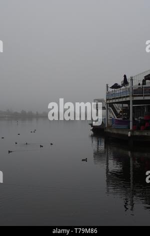 Dow's Lake Pavillon mit Enten schwimmen auf einem nebligen Herbst Tag, Ottawa, Ontario, Kanada. Stockfoto