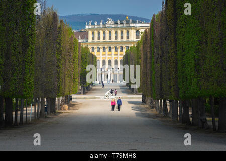 Schönbrunn Tourismus Wien, Blick auf Menschen, die entlang einer baumgesäumten allee in den Gärten des Schloss Schönbrunn in Wien, Österreich, spazieren. Stockfoto