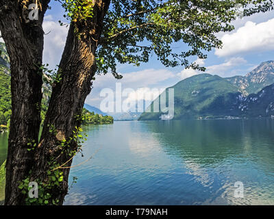 Blick über den Idrosee mit Baum im Vordergrund, Italien Stockfoto