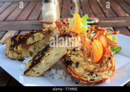 Nahaufnahme einer gegrillten Hummer auf einem Teller mit Reis, Salat, orange und einige französische Brot, North Island, Neuseeland Stockfoto