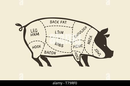 Stücke vom Schwein, Schwein. Metzgerei, Fleisch Vector Illustration Stock Vektor